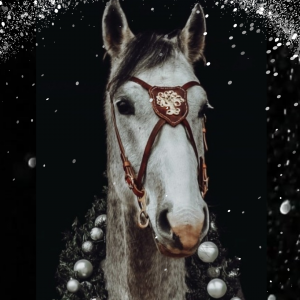 Gutschein zum Drucken Weihnachten