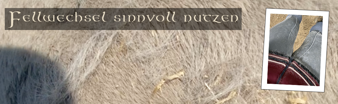 Kannst du den Fellwechsel sinnvoll nutzen?